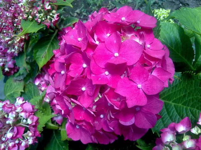 Name:  Grnt0476.jpg
Views: 3706
Size:  67.2 KB
