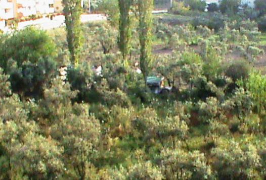 Name:  mutfakbalkon.jpg
Views: 1263
Size:  42.1 KB