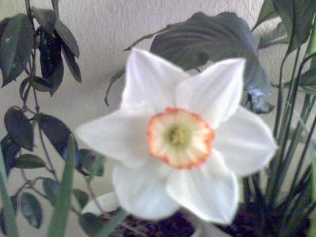 Name:  DSC00549.jpg
Views: 1367
Size:  37.7 KB