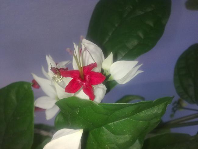 Name:  Grnt0544.jpg
Views: 1448
Size:  25.6 KB