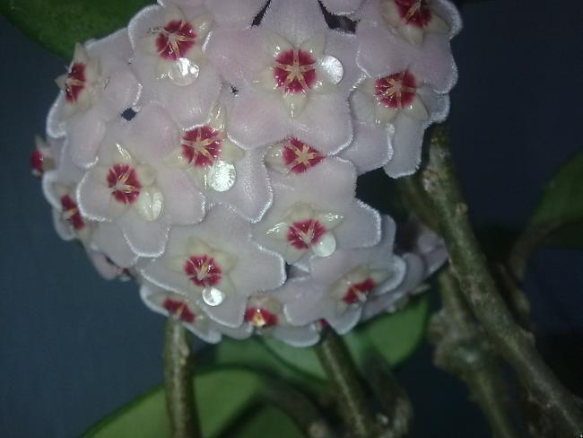 Name:  Grnt0555.jpg
Views: 1903
Size:  29.7 KB