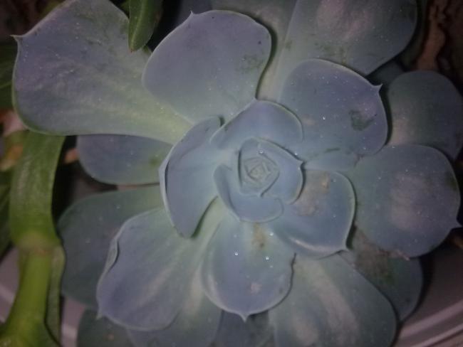 Name:  Grnt0582.jpg
Views: 1377
Size:  24.0 KB