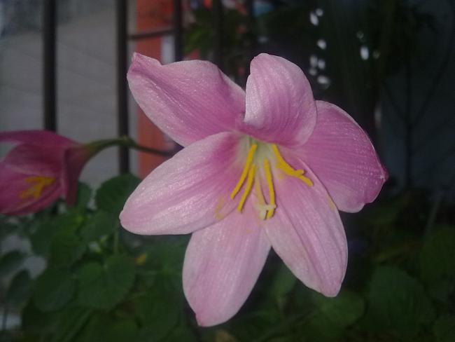 Name:  Grnt0561.jpg
Views: 1330
Size:  25.9 KB