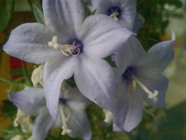 Name:  Grnt0590.jpg
Views: 1330
Size:  36.6 KB