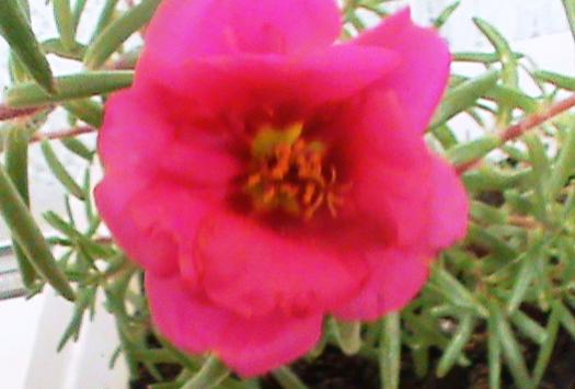 Name:  trnak iei8.jpg
Views: 2300
Size:  25.6 KB