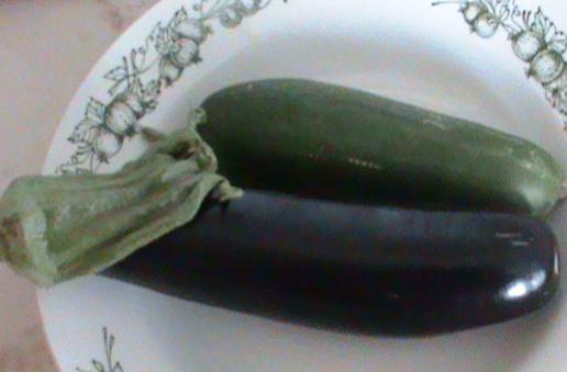 Name:  patlcansalatalk.jpg
Views: 1422
Size:  19.8 KB