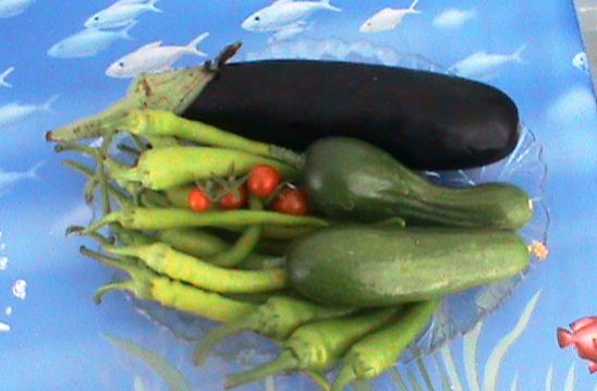 Name:  topluhasat.jpg
Views: 1790
Size:  28.2 KB