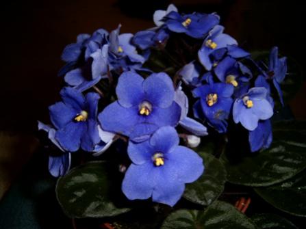 Name:  iekler 12022004 orite 3310 (2).jpg
Views: 15214
Size:  19.6 KB
