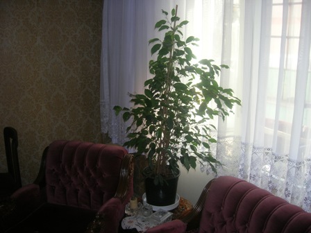 Name:  DSCN0477.JPG
Views: 17093
Size:  54.7 KB