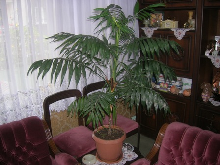 Name:  DSCN0478.JPG
Views: 17873
Size:  64.7 KB