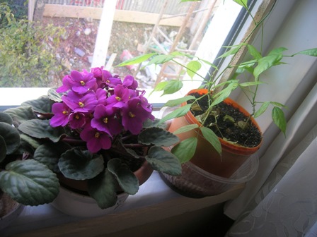 Name:  DSCN0538.JPG
Views: 9685
Size:  62.1 KB