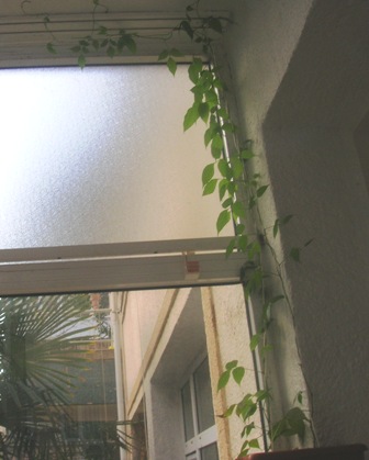Name:  DSCN0555.JPG
Views: 2101
Size:  46.7 KB