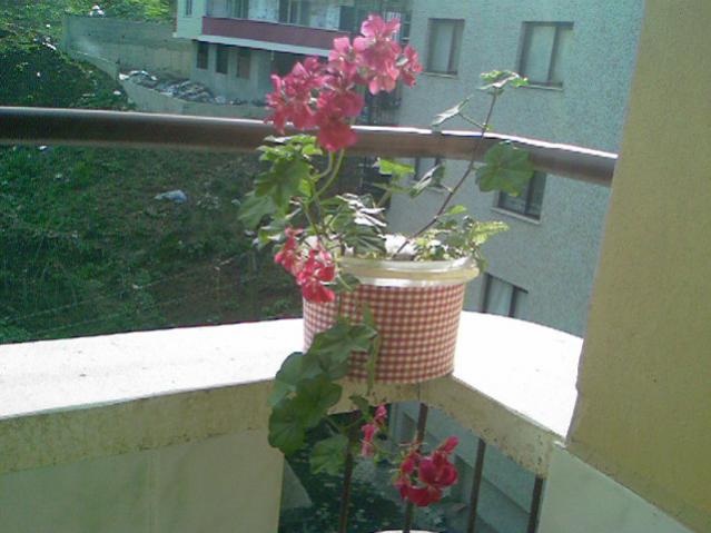 Name:  sakz (1).jpg
Views: 846
Size:  41.1 KB