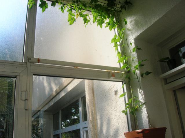 Name:  DSCN0694.jpg
Views: 1924
Size:  40.3 KB