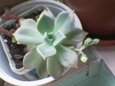 Name:  Image(158).jpg
Views: 1523
Size:  17.1 KB