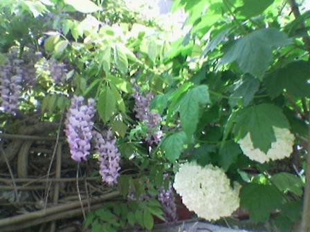 Name:  Image(161).jpg
Views: 1569
Size:  29.1 KB