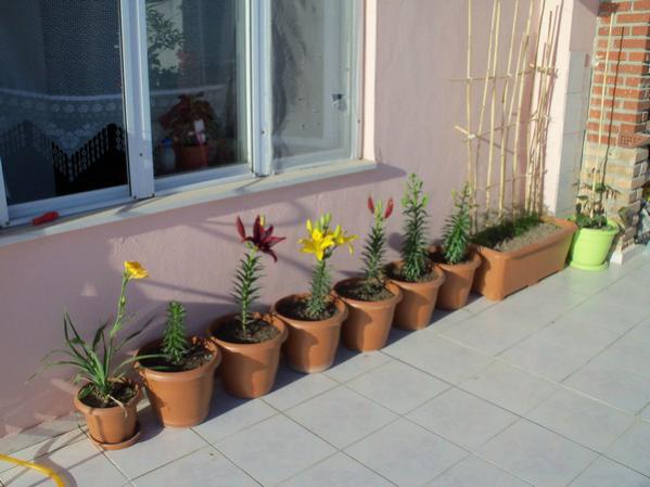 Name:  100_0585.jpg
Views: 2043
Size:  37.0 KB