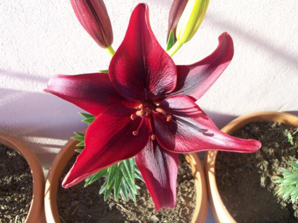 Name:  100_0583.jpg
Views: 1980
Size:  44.5 KB