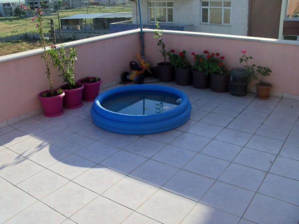 Name:  100_0624.jpg
Views: 3920
Size:  31.4 KB