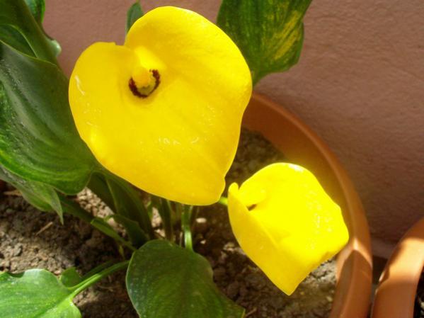 Name:  100_0678.jpg
Views: 2190
Size:  32.3 KB
