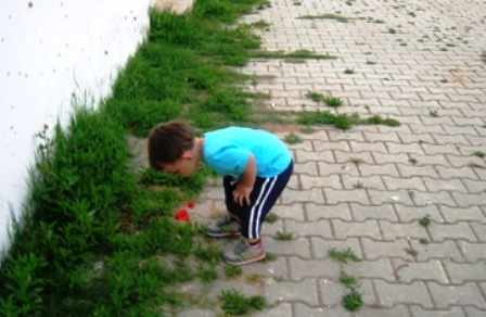 Name:  DSCN0809.JPG
Views: 2778
Size:  56.7 KB