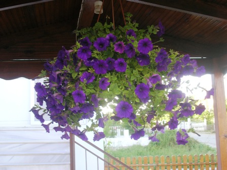 Name:  DSCN0769.JPG
Views: 2880
Size:  63.9 KB