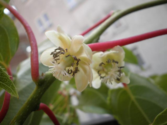 Name:  028.jpg
Views: 2659
Size:  27.0 KB