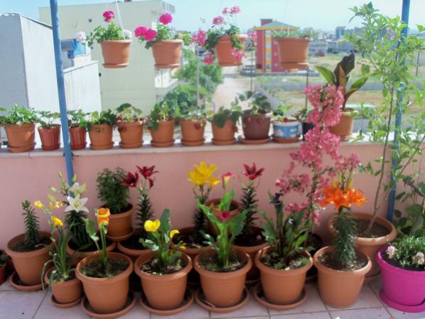 Name:  100_0698.jpg
Views: 933
Size:  48.6 KB