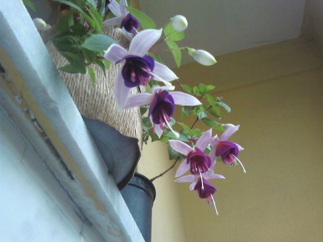 Name:  17.06 (18).jpg
Views: 642
Size:  33.1 KB