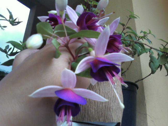 Name:  18.06 (2).jpg
Views: 660
Size:  38.4 KB
