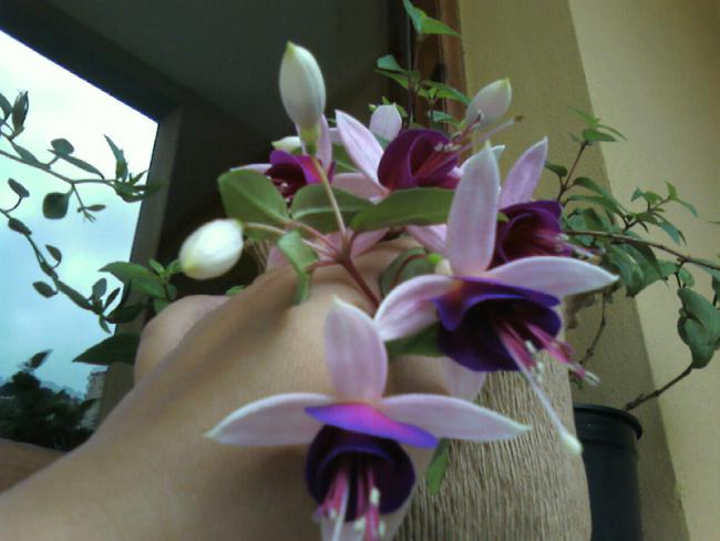 Name:  18.06 (6).jpg
Views: 649
Size:  36.9 KB