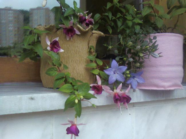 Name:  28.06 (18).jpg
Views: 598
Size:  39.3 KB