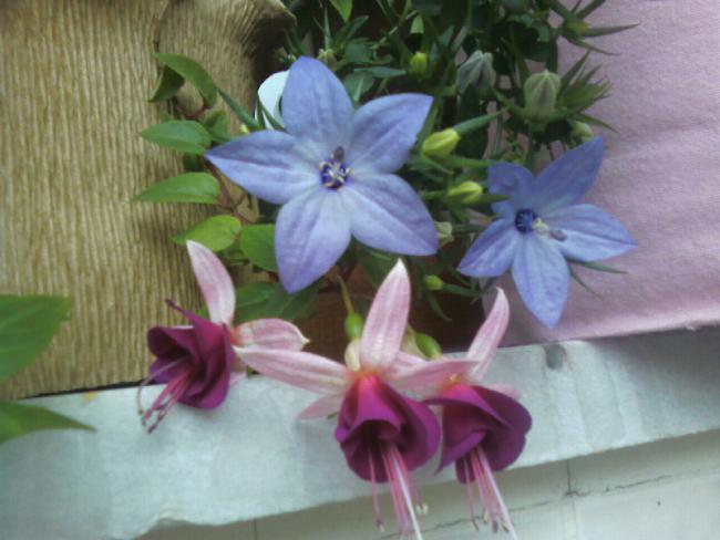 Name:  28.06 (17).jpg
Views: 607
Size:  39.8 KB