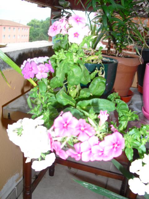 Name:  CIMG5054.jpg
Views: 1018
Size:  55.6 KB