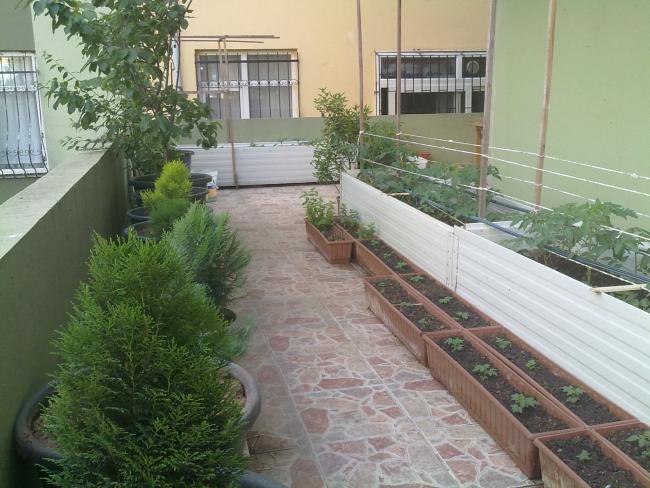 Name:  02062011443.jpg
Views: 756
Size:  57.8 KB