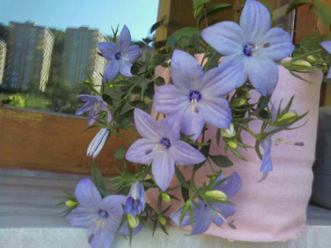 Name:  Fotoraf-0002.jpg
Views: 530
Size:  40.3 KB