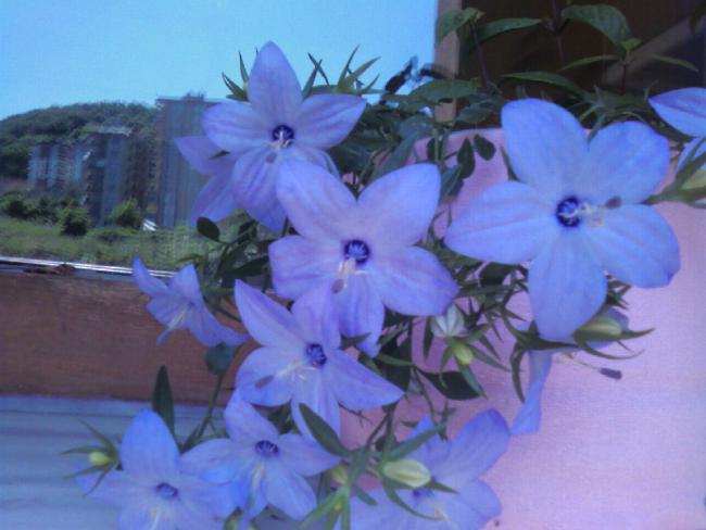 Name:  Fotoraf-0008.jpg
Views: 533
Size:  37.0 KB