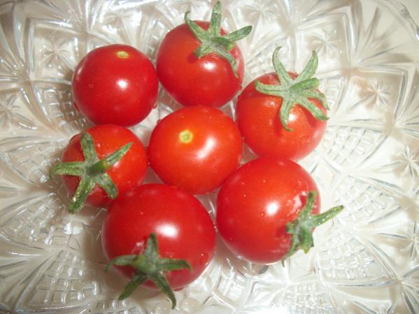 Name:  2.RRhasat.jpg
Views: 822
Size:  40.6 KB
