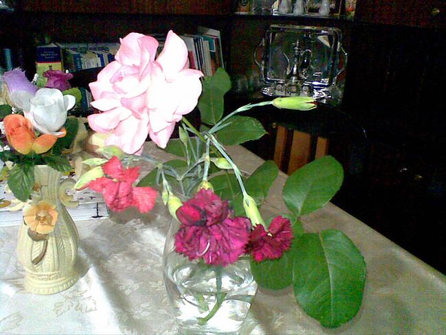 Name:  18062011.jpg
Views: 1829
Size:  56.5 KB