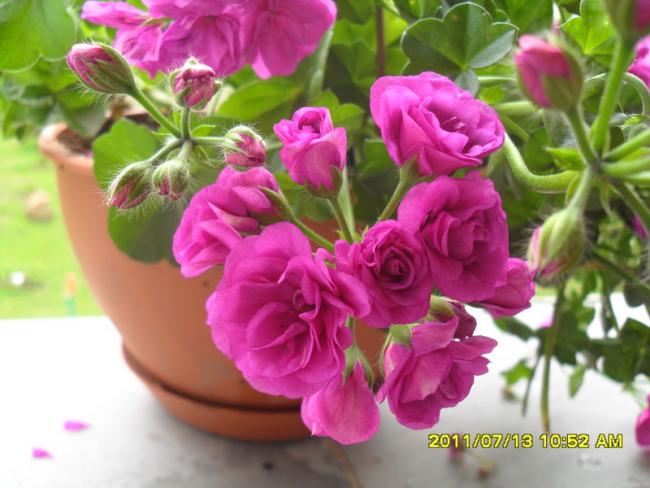 Name:  001.jpg
Views: 887
Size:  46.1 KB