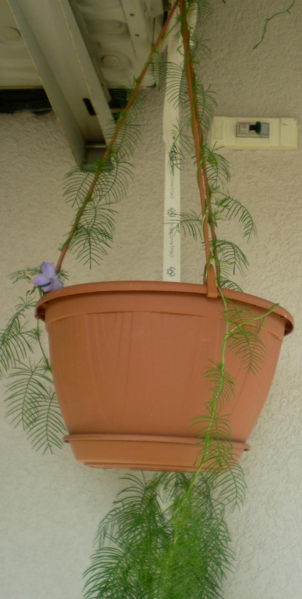Name: SANY0251.jpg
Views: 873
Size: 71.3 KB