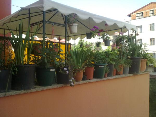 Name:  Balkon D..jpg
Views: 10111
Size:  35.9 KB
