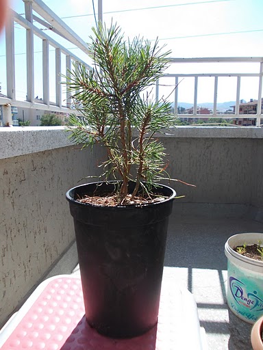 Name:  Resim%2520150.jpg
Views: 1442
Size:  56.8 KB