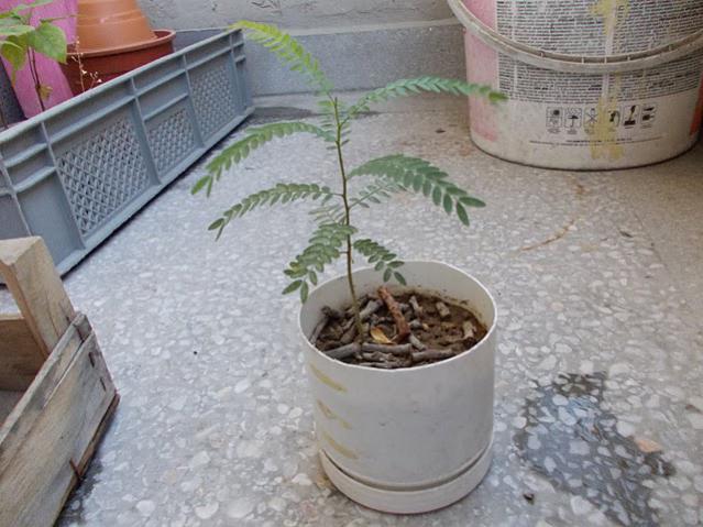 Name:  Resim%2520170.jpg
Views: 1425
Size:  51.7 KB