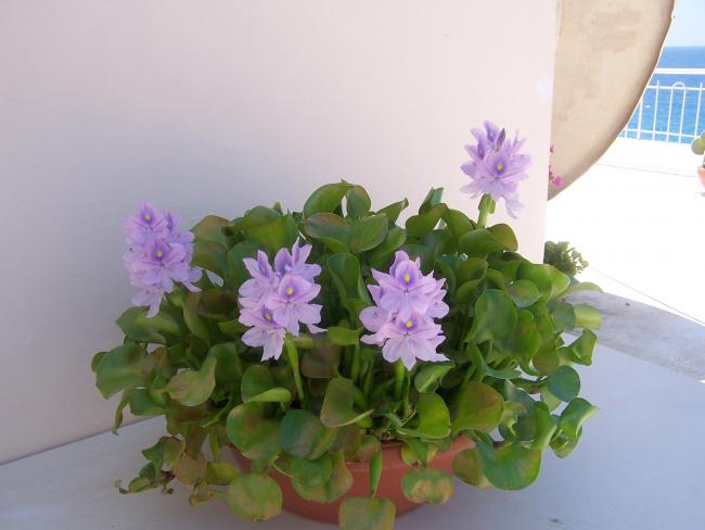Name:  TRS.B (349).jpg
Views: 1712
Size:  32.2 KB