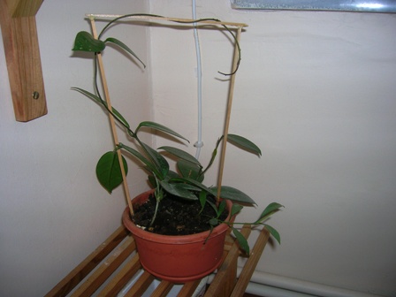 Name:  DSCN0926.JPG
Views: 1860
Size:  51.2 KB