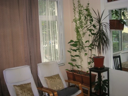 Name:  DSCN0957.JPG
Views: 1795
Size:  61.2 KB