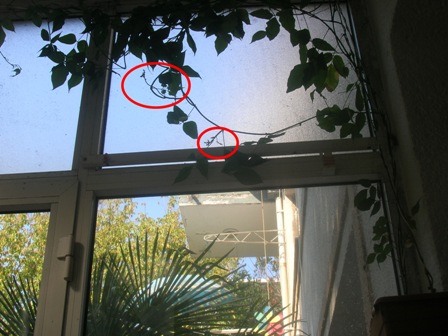 Name:  DSCN1003.JPG
Views: 1210
Size:  62.5 KB
