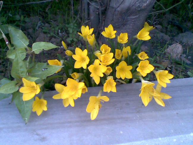 Name:  21102011(002).jpg
Views: 2225
Size:  48.9 KB