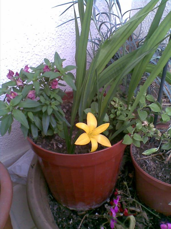 Name:  30102011.jpg
Views: 1892
Size:  72.8 KB